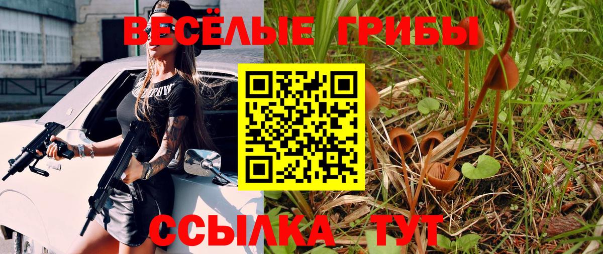 Галлюциногенные грибы ЛСД  Вход с VPN  Галлюциногенные грибы GOLDEN TEACHER  Чапаевск 